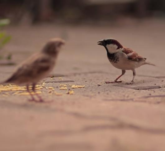 whatsapp image 2026 04 11 at 11.32.31 am